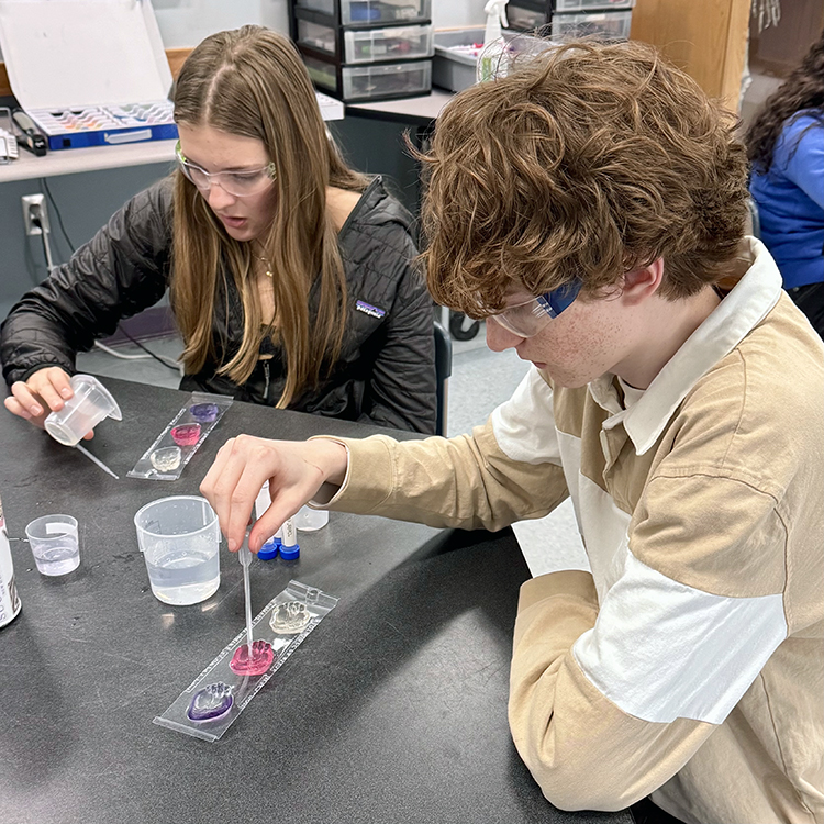 Students Learn Biofabrication Techniques